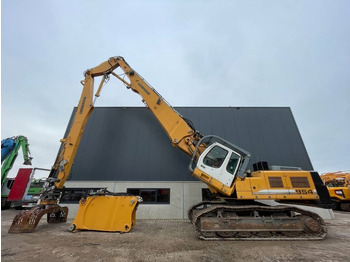 Demontāžas ekskavators LIEBHERR R 954