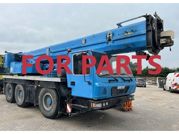 : fotogrāfija galvenē