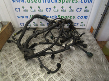 : fotogrāfija galvenē