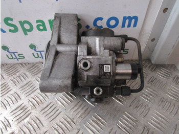 : fotogrāfija galvenē