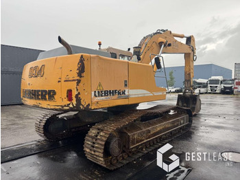 Kāpurķēžu ekskavators Liebherr R934B HDSL: foto 3