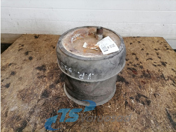 Pneimo piekare MERCEDES-BENZ