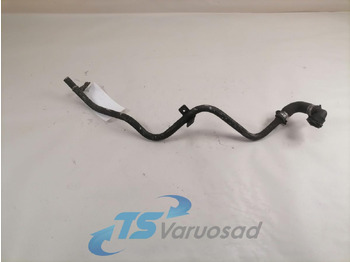 : fotogrāfija galvenē