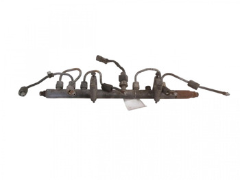 : fotogrāfija galvenē