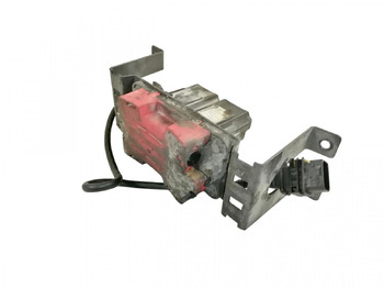 : fotogrāfija galvenē