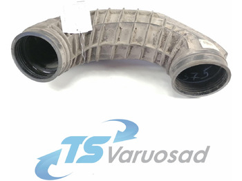 : fotogrāfija galvenē