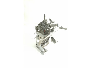 : fotogrāfija galvenē