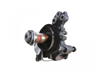 : fotogrāfija galvenē