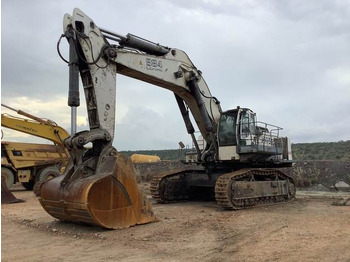 Kāpurķēžu ekskavators LIEBHERR