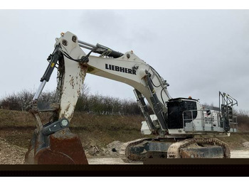 Kāpurķēžu ekskavators LIEBHERR