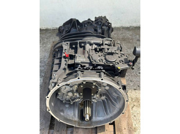 : fotogrāfija galvenē