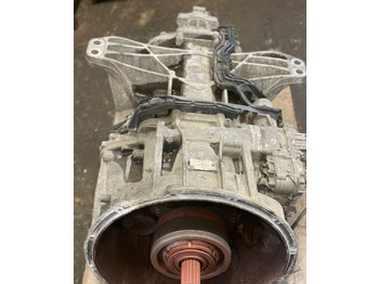 : fotogrāfija galvenē