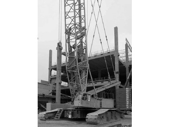 Kāpurķēžu celtnis LIEBHERR