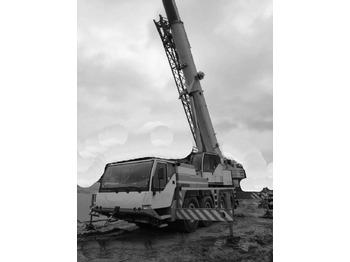 Autoceltnis LIEBHERR LTM 1060/2
