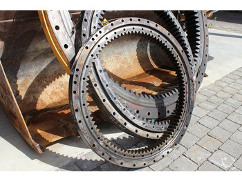 : fotogrāfija galvenē