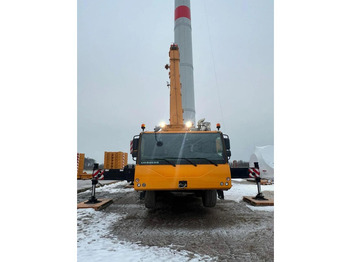 Visurgājējs celtnis LIEBHERR