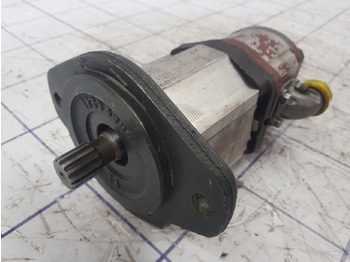 Hidrauliskais sūknis - Celtnis Rexroth Rexroth dual gear pump: foto 2