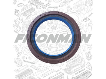 Motora galvas blīve IVECO