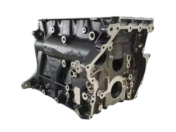 Cilindru bloks IVECO Daily