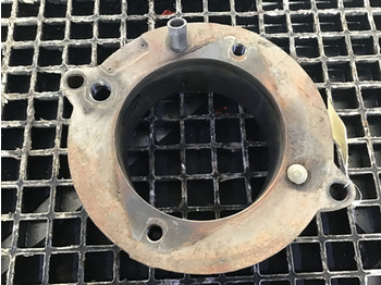 : fotogrāfija galvenē