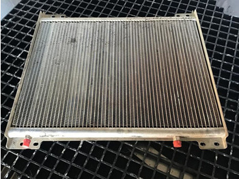 : fotogrāfija galvenē