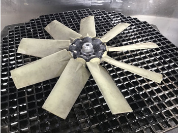 : fotogrāfija galvenē