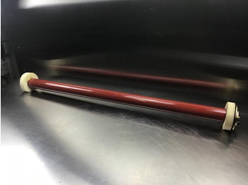 : fotogrāfija galvenē