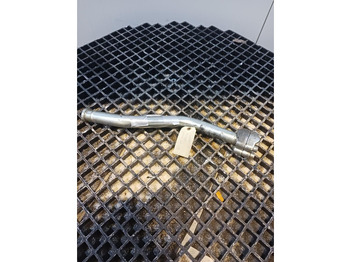 : fotogrāfija galvenē