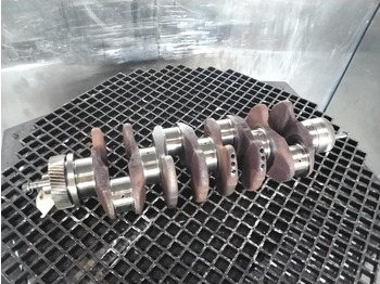 Kloķvārpsta Liebherr: foto 3 Kloķvārpsta Liebherr: foto 3