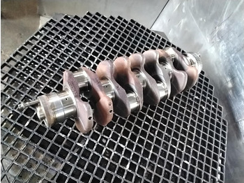 Kloķvārpsta Liebherr: foto 2 Kloķvārpsta Liebherr: foto 2