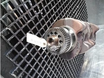 : fotogrāfija galvenē