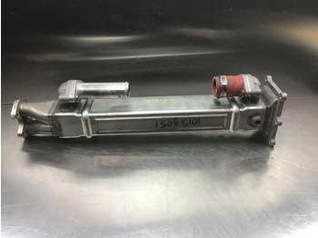 : fotogrāfija galvenē