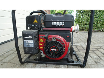 Ūdens sūknis Briggs en Stratton Homelite FP250V waterpomp: foto 2