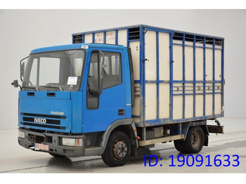 Kravas automašīna dzīvnieku pārvadāšanai IVECO