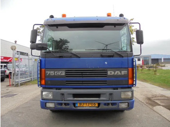Bortu kravas automašīna/ Platforma DAF CF 290: foto 2