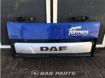 Radiatora reste DAF CF