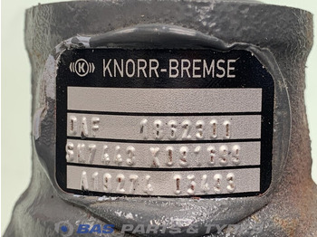 Bremžu suports - Kravas automašīna DAF: foto 3