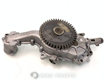 : fotogrāfija galvenē