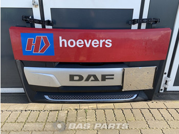 Radiatora reste DAF XF 106