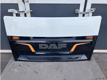 Radiatora reste DAF XF 106