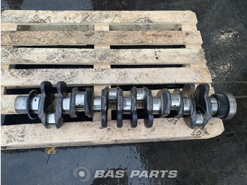 Kloķvārpsta RENAULT