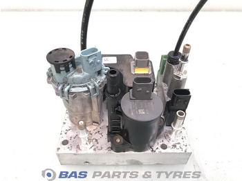 : fotogrāfija galvenē