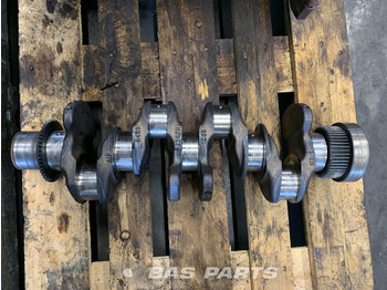 : fotogrāfija galvenē