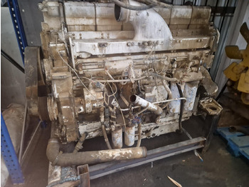 : fotogrāfija galvenē