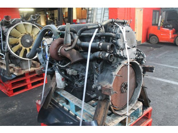 : fotogrāfija galvenē