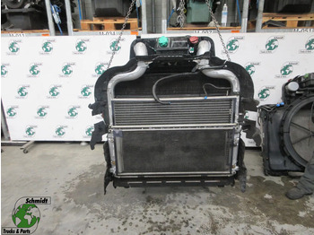 Radiators DAF