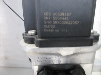 Degvielas sistēma - Kravas automašīna DAF 2290991 AD BLUE POMP DAF XG 480 NIEUWE MODEL 2023: foto 4