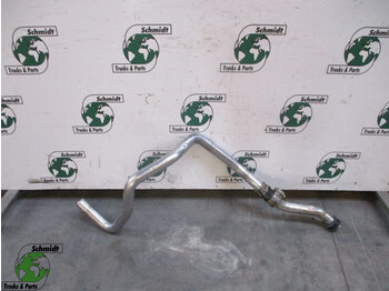 : fotogrāfija galvenē