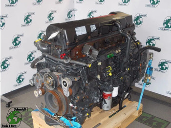 : fotogrāfija galvenē