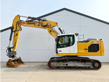 Kāpurķēžu ekskavators LIEBHERR R 924